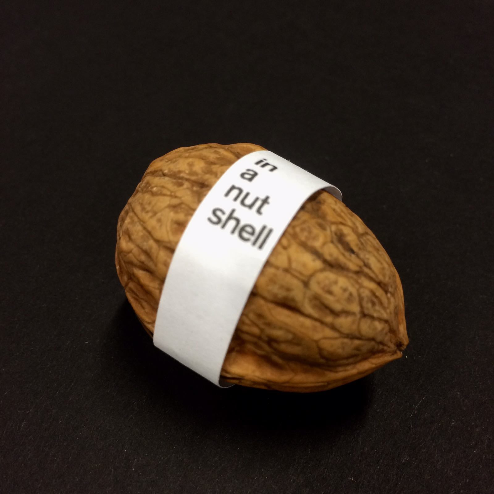 Staff Pick Premiere: Life, what is it good for? "In a Nutshell" is a dazzling stop-motion montage from Fabio Friedli that takes us through the wonder and disillusionment of human existence.