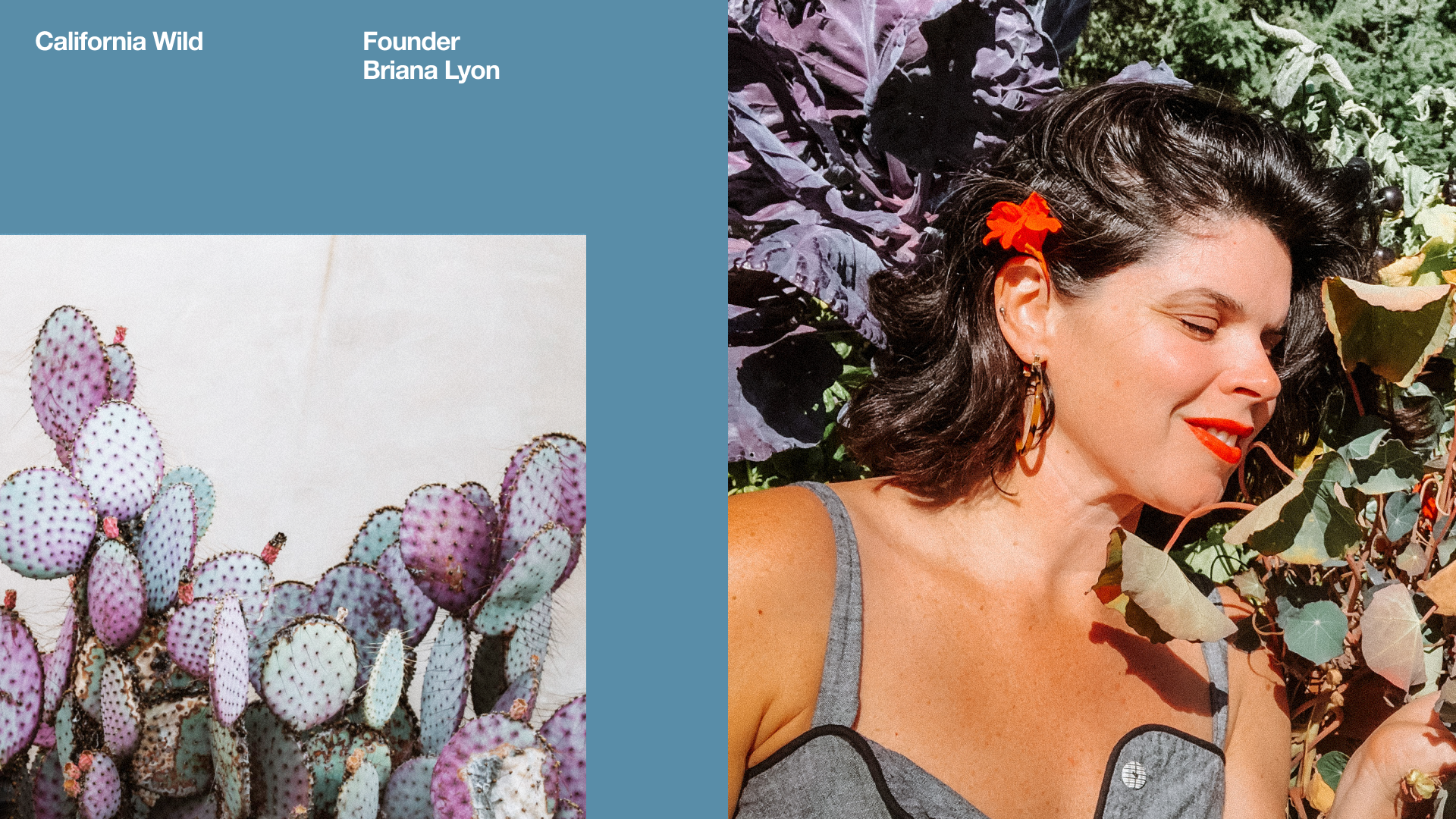 California Wild founder Briana Lyon needed a way to introduce her innovative product to the world. Vimeo Create and Shopify made it easy. California Wild founder Briana Lyon needed a way to introduce her innovative product to the world. Vimeo Create and Shopify made it easy.