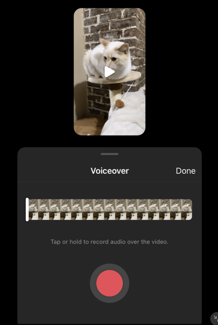 Missing alt text!