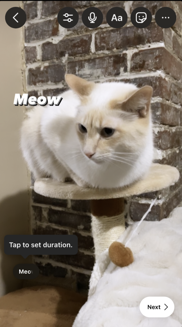 Missing alt text!