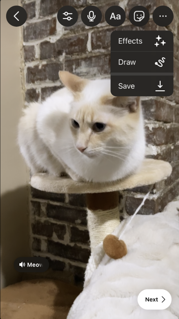 Missing alt text!