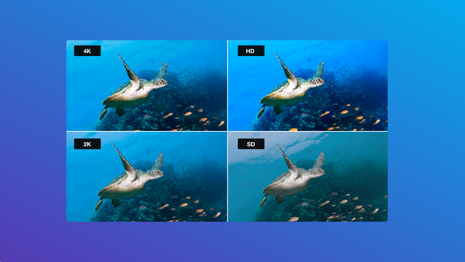 Here's everything you need to know about video resolution and picture quality to make sure your videos capture every detail. Here's everything you need to know about video resolution and picture quality to make sure your videos capture every detail.