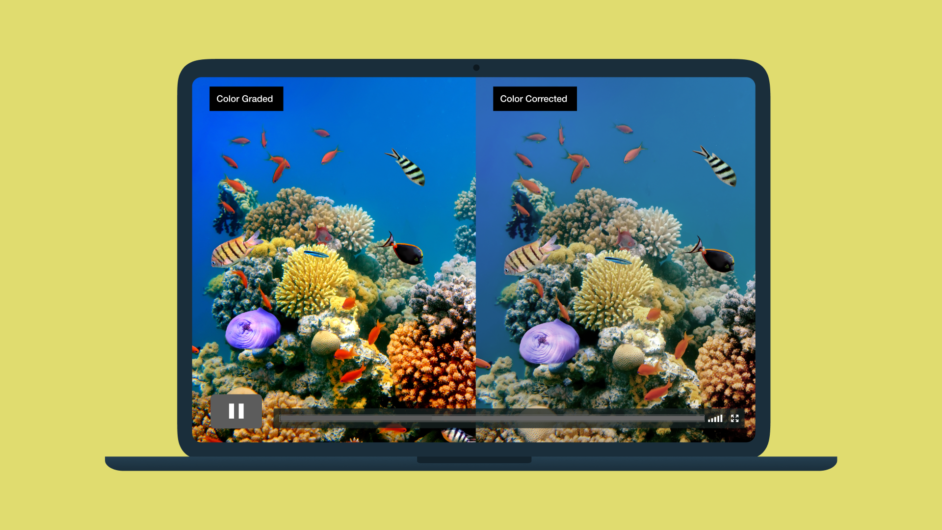 Learn how to color correct your footage, the difference between color grading vs. color correcting, and more. Learn how to color correct your footage, the difference between color grading vs. color correcting, and more.